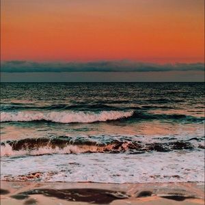 Meet your Posher, Grayson